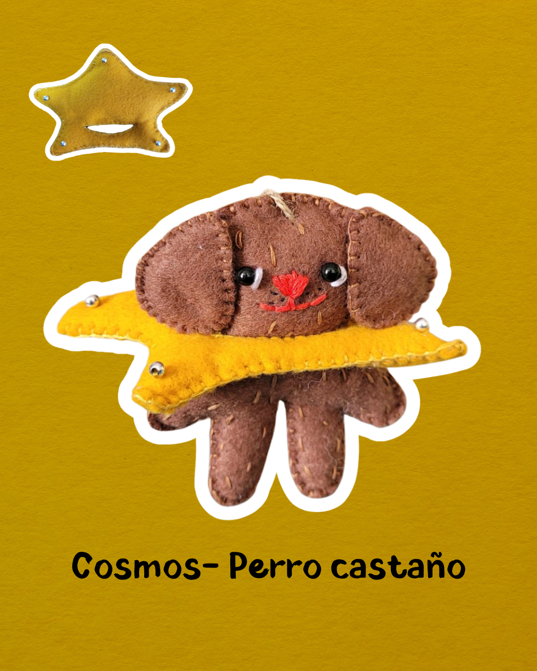 1. Charms Patitas