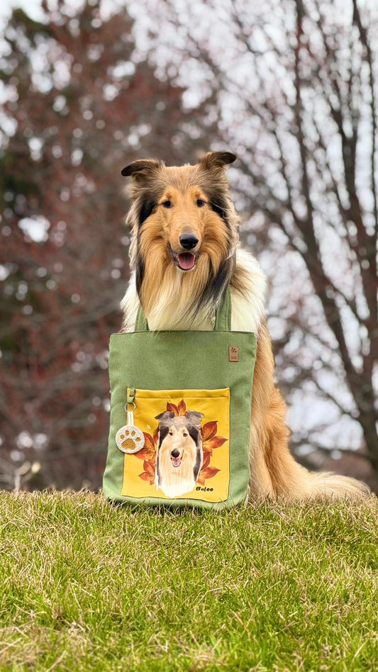 2. ToteBag Mascotas Ilustrado